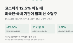 Featured image of post 코스피가 두 달 동안 12.5% 빠질 때 외국인과 국내 자금이 함께 산 소형주는 여섯 종목이었습니다. 저희 축적 기준을 통과한 종목은 두 개입니다