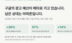 Featured image of post 구글의 광고 예산이 메타로 가고 있습니다. 6개 분기 연속 11~17%p 격차는 우연으로 설명되지 않습니다